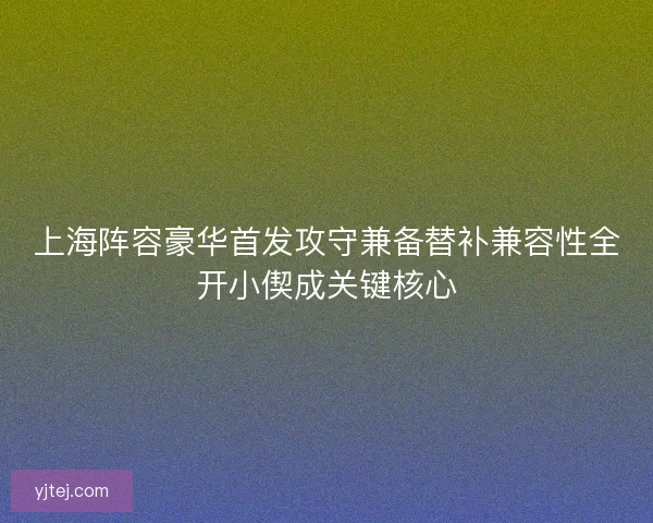 上海阵容豪华首发攻守兼备替补兼容性全开小偰成关键核心